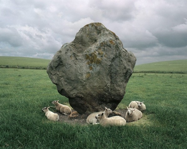 Sheep and Standing Stone, Avebury, England by Barry W. Anderson (American, born 1945)