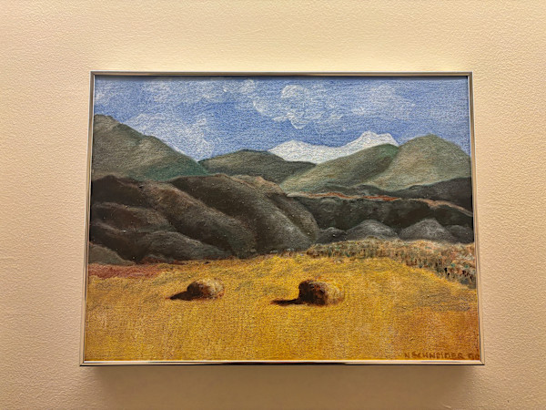 Presidential Purchase Award (1991) by Noel Schneider
