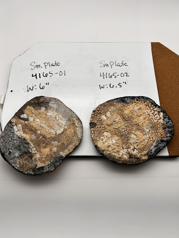 Decorative Plate by Rumiko "Rumi"  Tsuda Estate