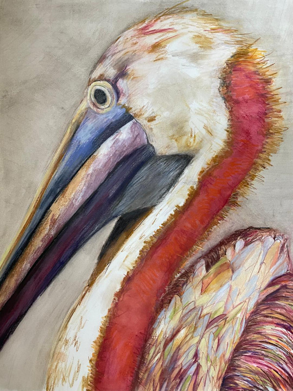 Pelican portrait by Jeanne Goodman