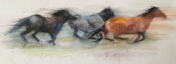 3 Horses Running by Jeanne Goodman