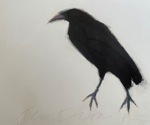 Raven looking left by Jeanne Goodman