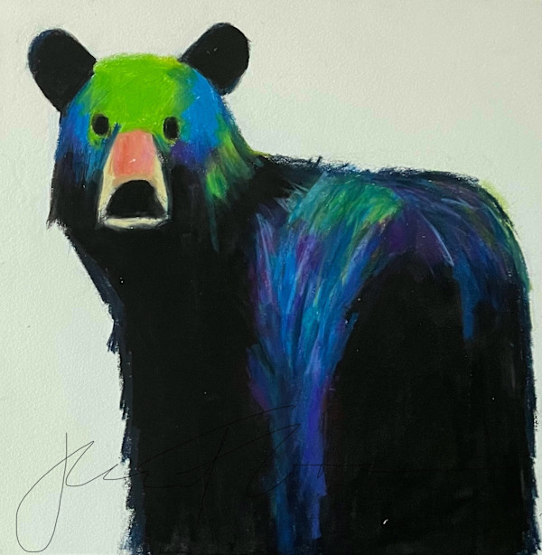 Bear stare by Jeanne Goodman