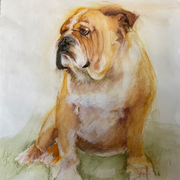 Bulldog sitting by Jeanne Goodman