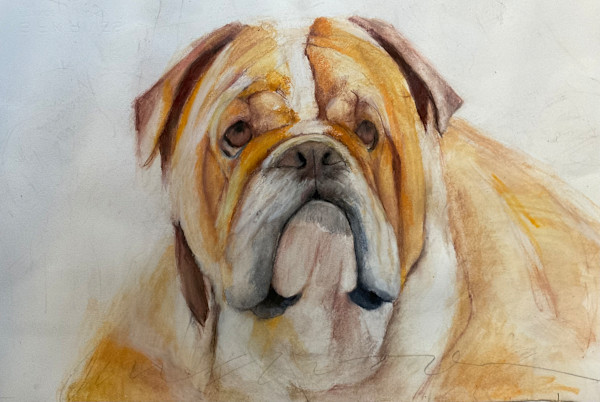 Bulldog portrait by Jeanne Goodman