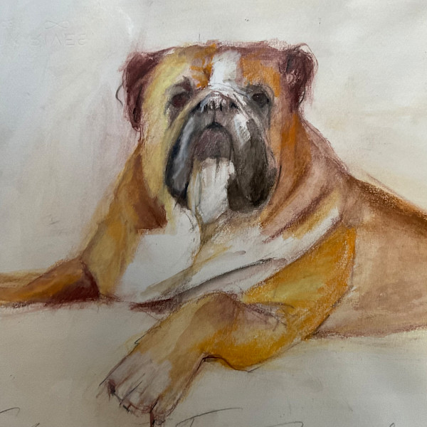 Bulldog at Rest by Jeanne Goodman