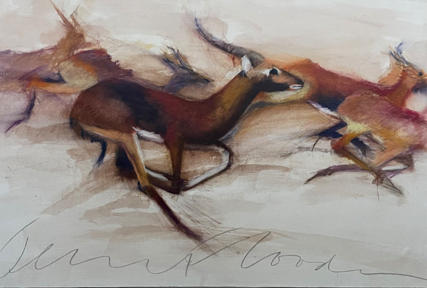 Antelope Running by Jeanne Goodman