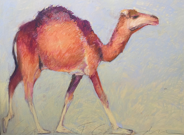Big camel walking by Jeanne Goodman