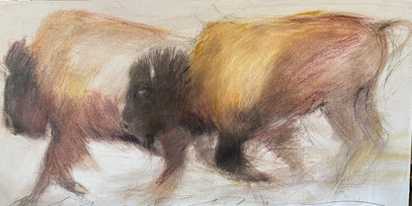 2 Bison RUNNING by Jeanne Goodman, Image 1.