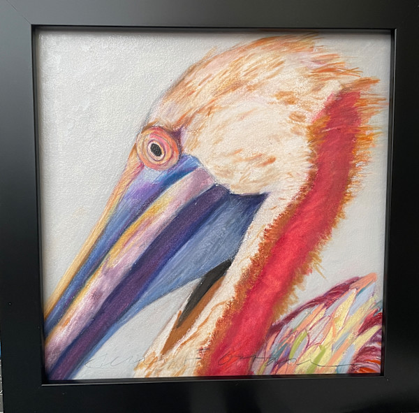 Pelican Portrait by Jeanne Goodman