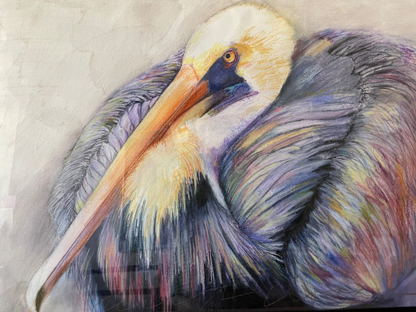 Colorful pelican portrait by Jeanne Goodman