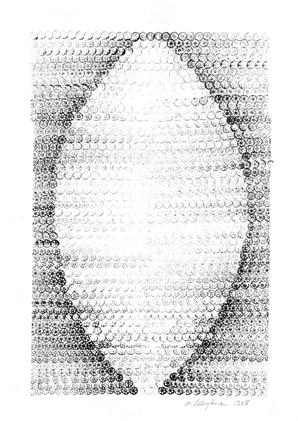 Lotus petal 1528 by Morrison Polkinghorne, Image 1.