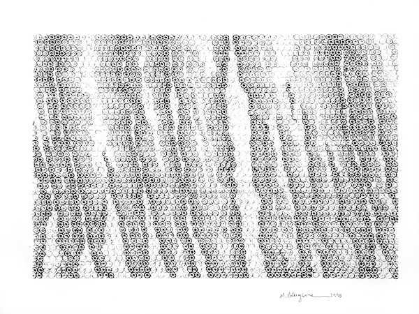 Monsoon Bei, 2998 Lotus impressions by Morrison Polkinghorne, Image 1.
