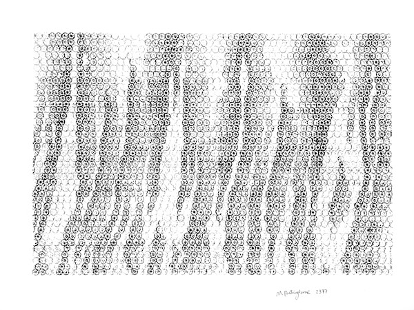 Monsoon Buon, 2377 Lotus impressions by Morrison Polkinghorne, Image 1.