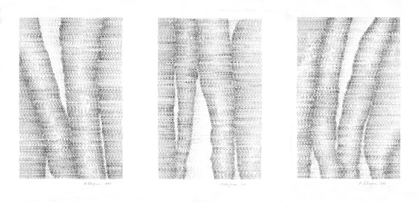 Three River Delta #6 by Morrison Polkinghorne, Image 1.