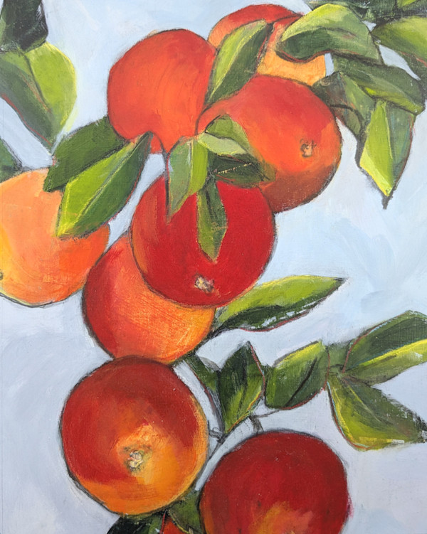 Apples by Katy McCarrick
