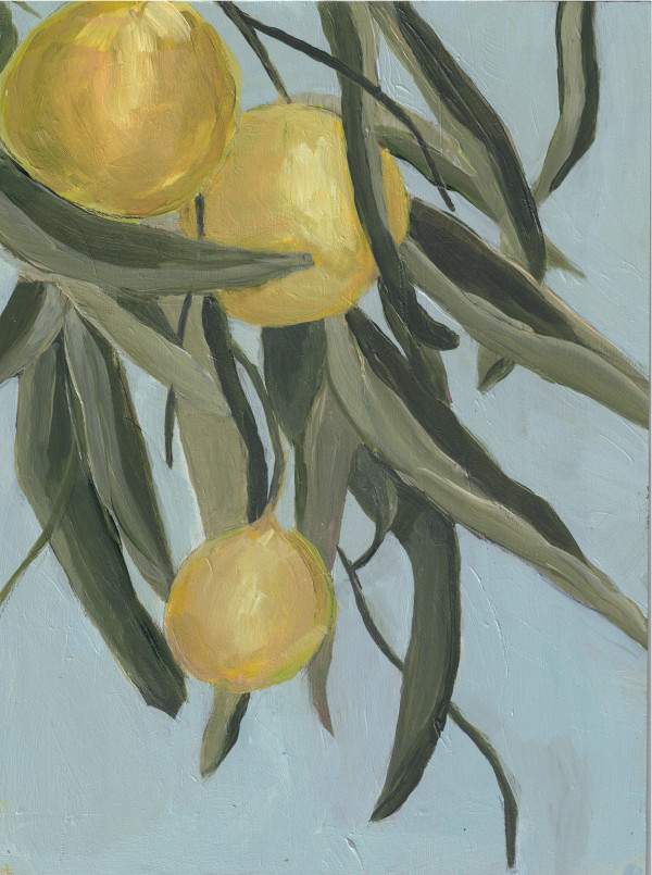 Harmony by Katy McCarrick