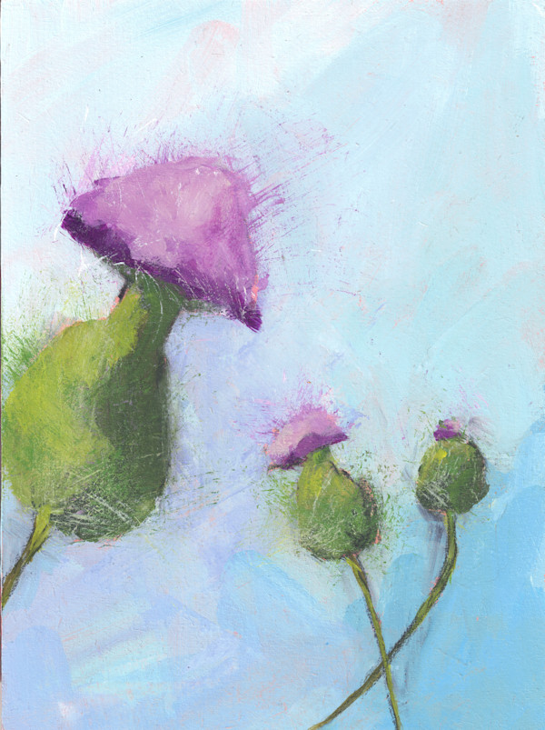 Thistle by Katy McCarrick