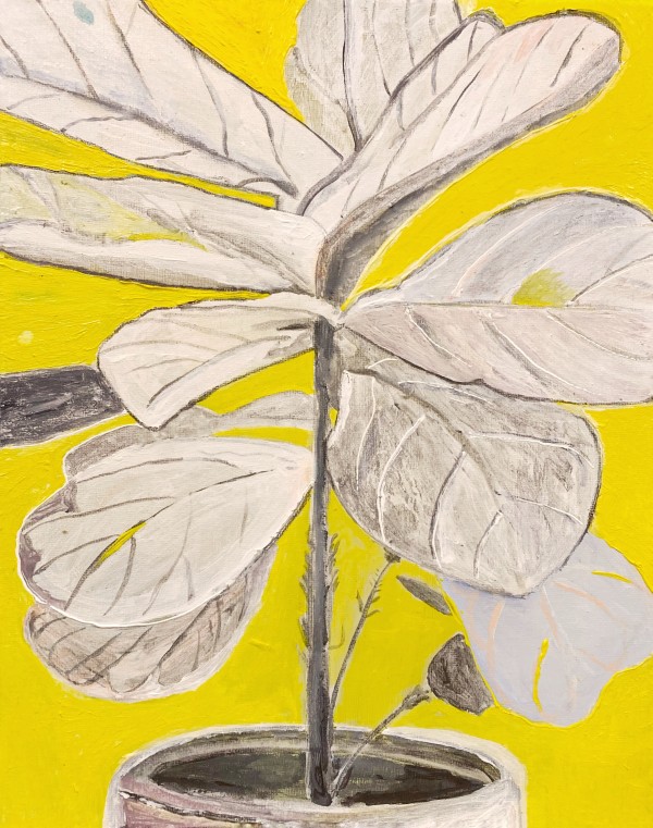 Studio Plant by John Paul Kesling