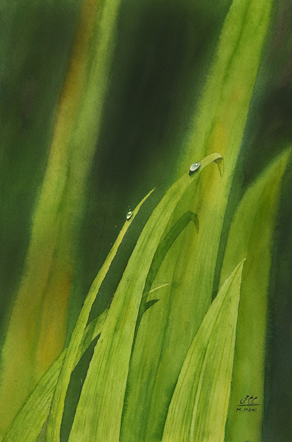 W- Dew Kissed Leaves by MARYAM MOHI