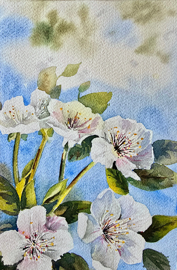 Spring is here I by MARYAM MOHI
