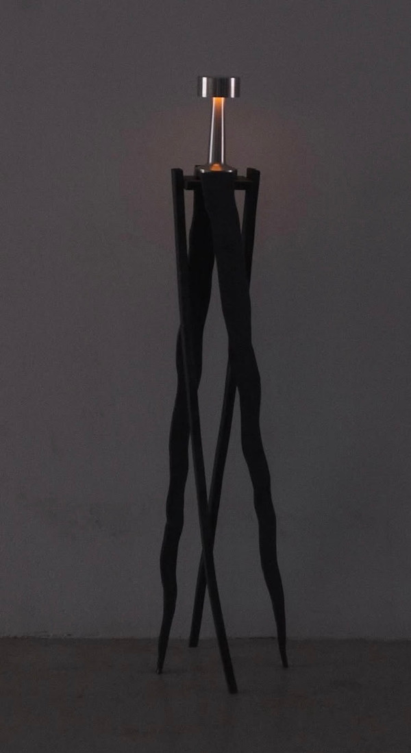Spider Legs by Tumbles, Image 1.