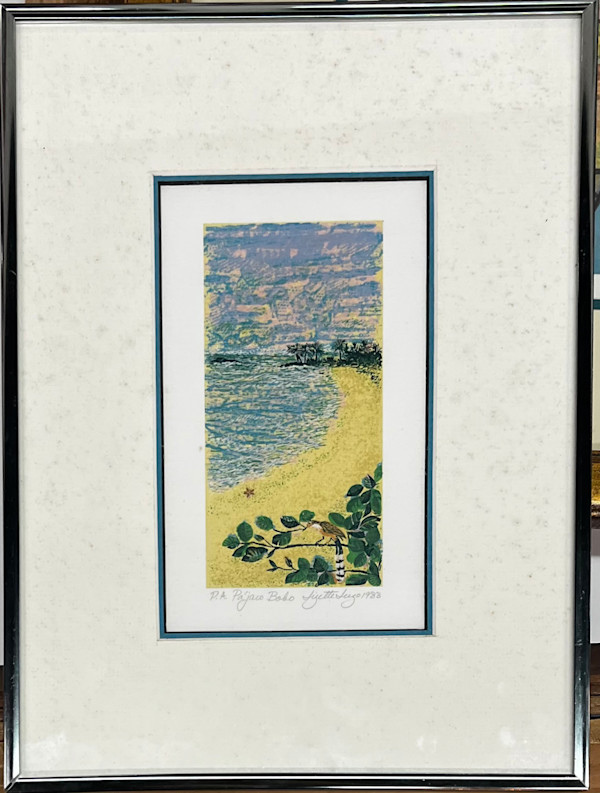 Pajaro Bobo by Lizette Lugo