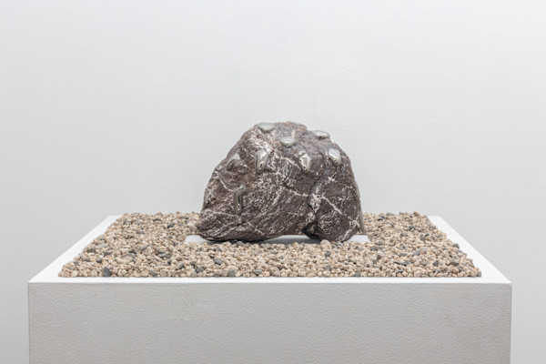 Garden 7 by Nobuhito Nishigawara