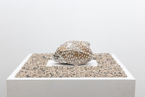 Garden 4 by Nobuhito Nishigawara