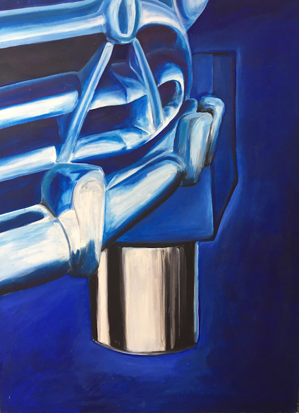 "Blue Bumper" by Nick Aquilino, Image 2.