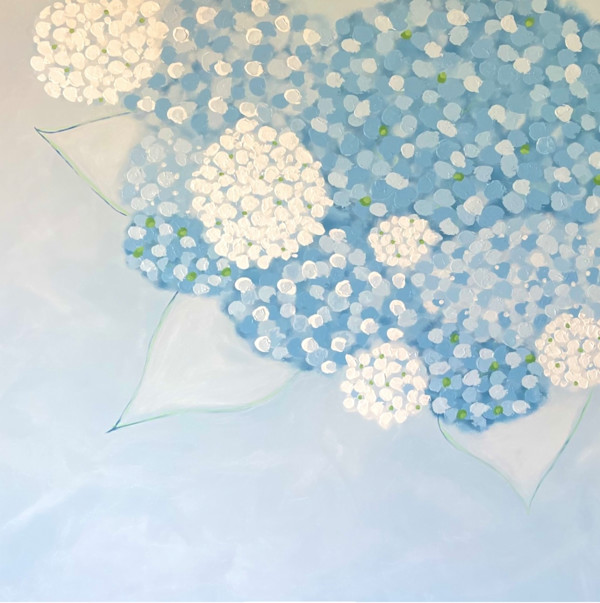 Hydrangea by Meredith Sevin