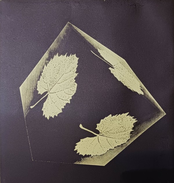 Leaf Cube by dennis gordon