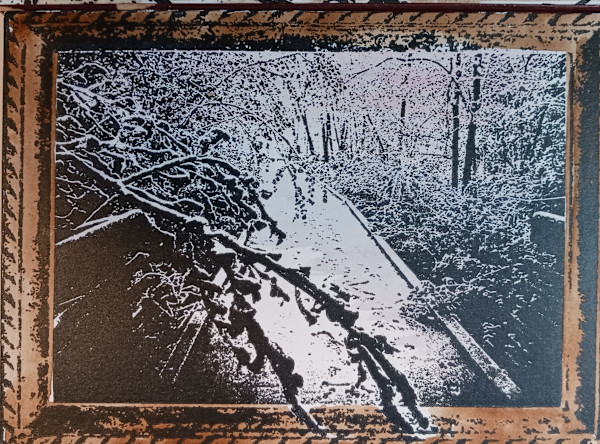 Snowy Branches on Boardwalk by dennis gordon