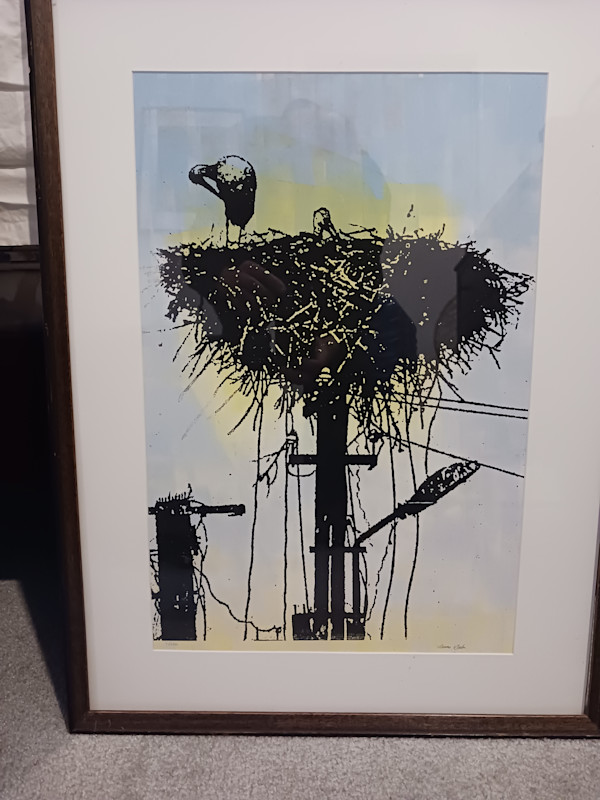 Romanian Storks by dennis gordon