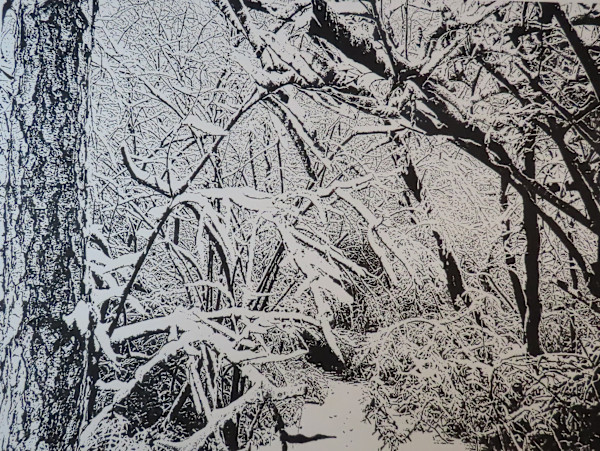 Fresh Snow by dennis gordon