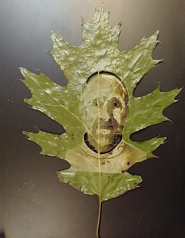 Self Portrait in Oak Leaf by dennis gordon