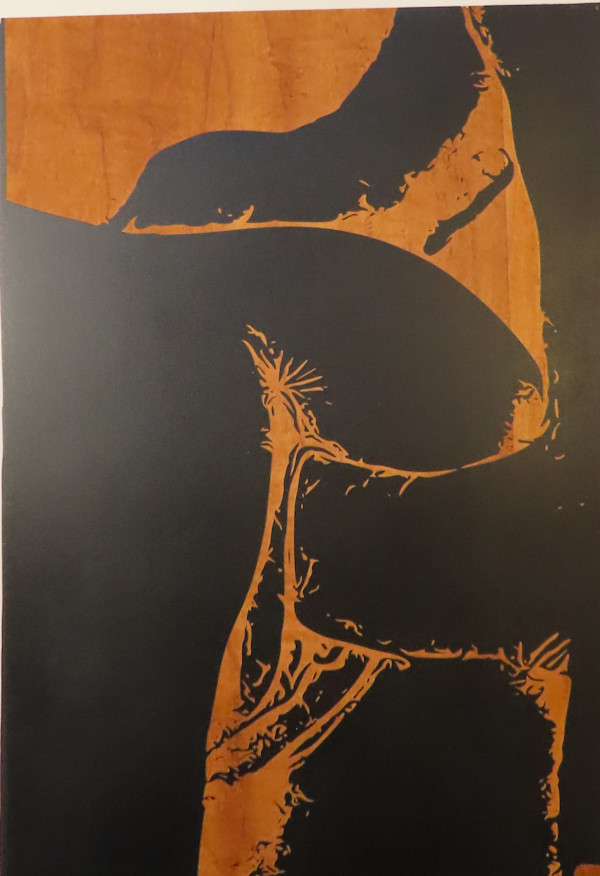 Rear Entry by dennis gordon