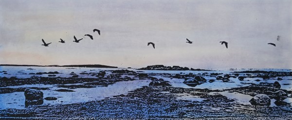 Newfoundland Flock by dennis gordon