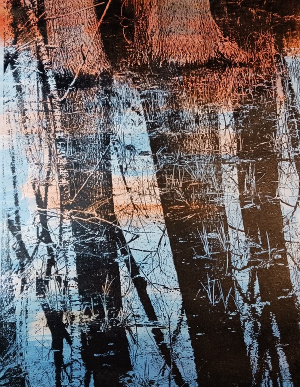 Black Pond Reserve Reflections by dennis gordon