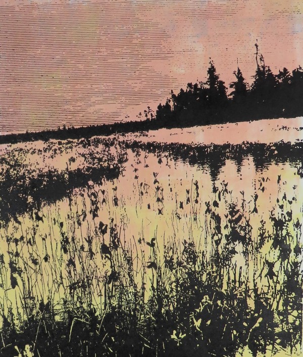 Canadian Marsh by dennis gordon