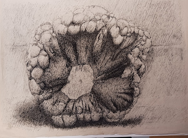 Cauliflower by dennis gordon