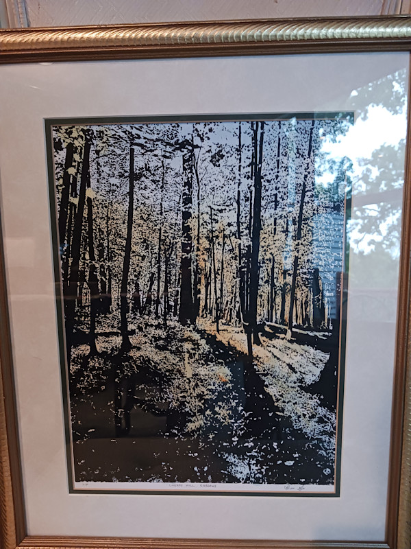 Cherry Hill Shadows Small by dennis gordon