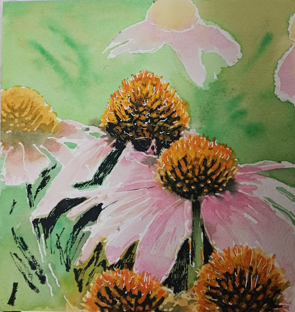 Cone Flowers by dennis gordon
