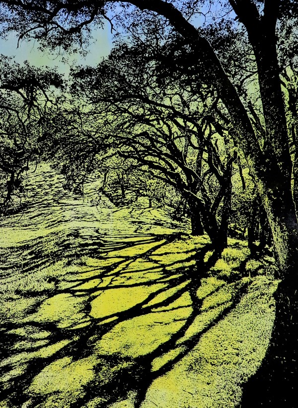 California Trail Shadows by dennis gordon