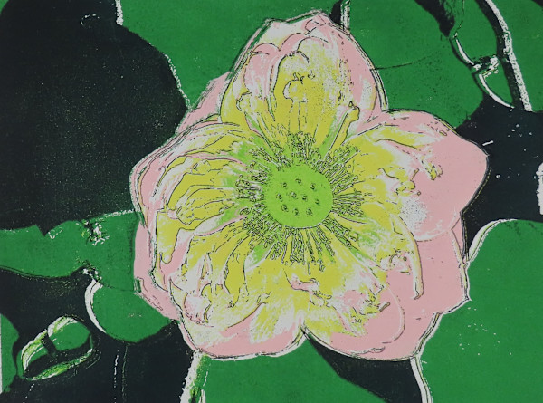 Water Lily by dennis gordon