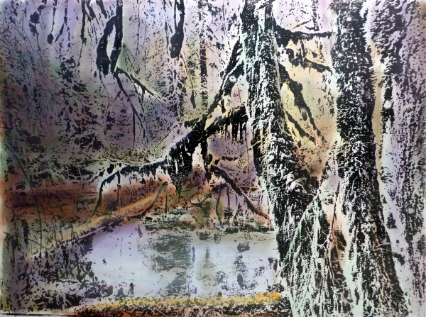 Hoh Rain Forest by dennis gordon