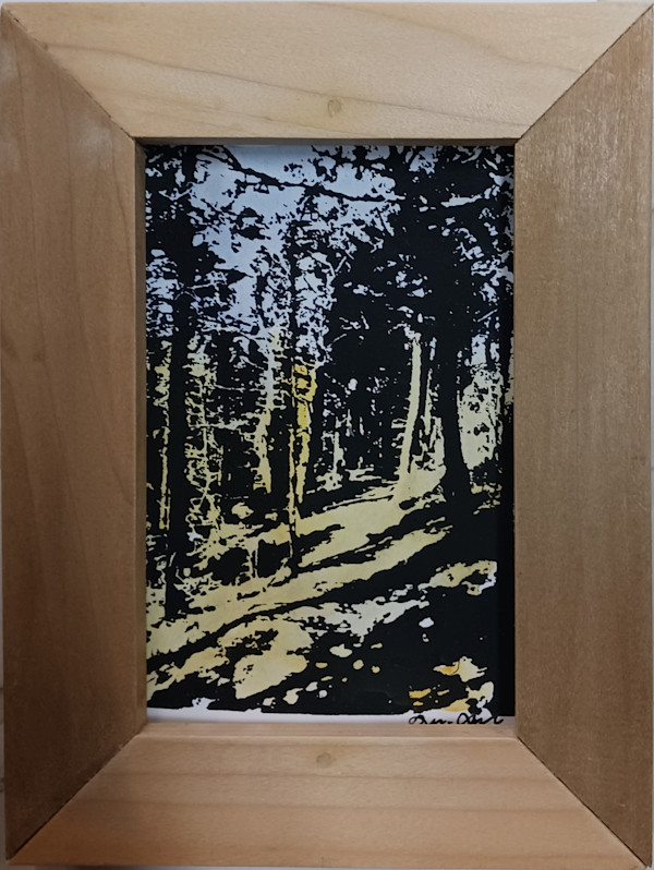 Into the Woods by dennis gordon