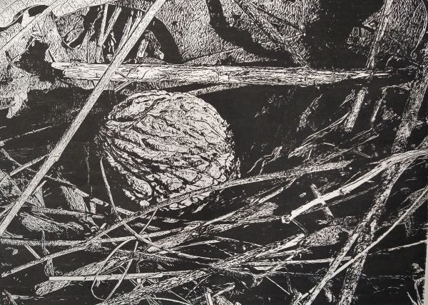 Last Walnut by dennis gordon