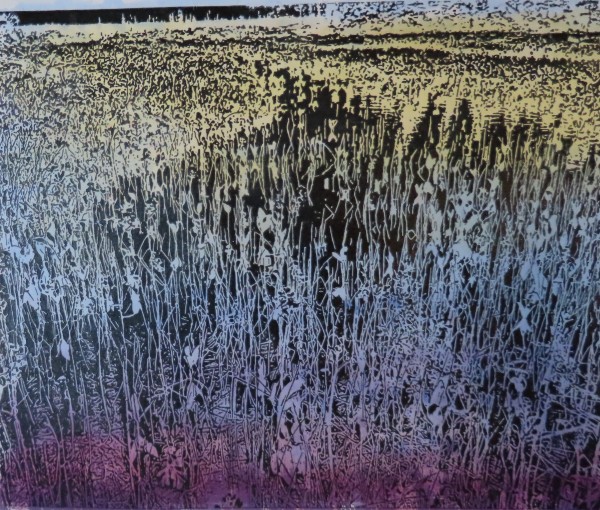 Canadian Marsh Abstracted by dennis gordon