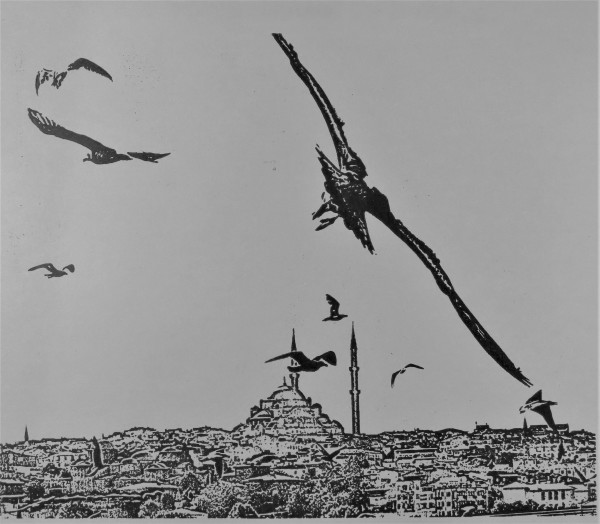 Istanbul Birds by dennis gordon